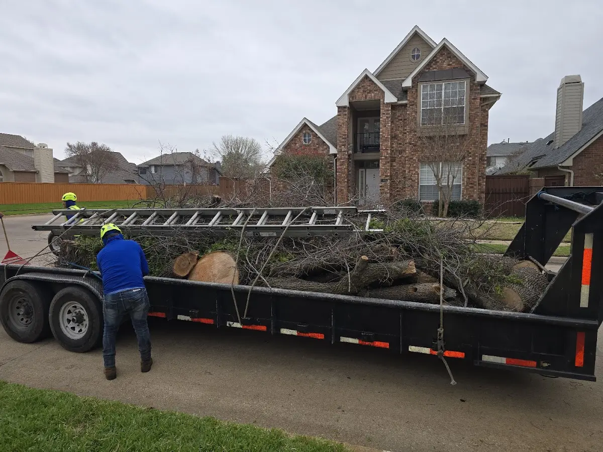 Expert Tree Fertilization with proper safety equipment in Lost Nation
